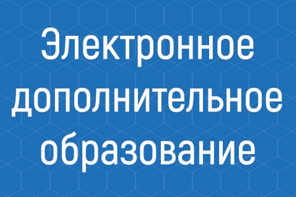 Электронное дополнительное. Электронное дополнительное образование. Электронно дополнительное образование. Барс электронное дополнительное образование Тюменская область. Брошюра электронное дополнительное образование Тюменской области.